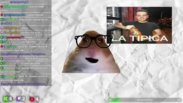 un hamster