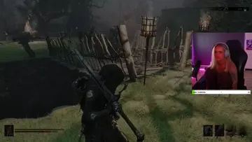 Agressive grandma broom attack