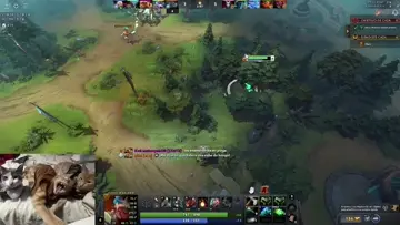 Vuelan xd