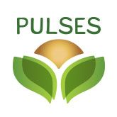 USA Pulses