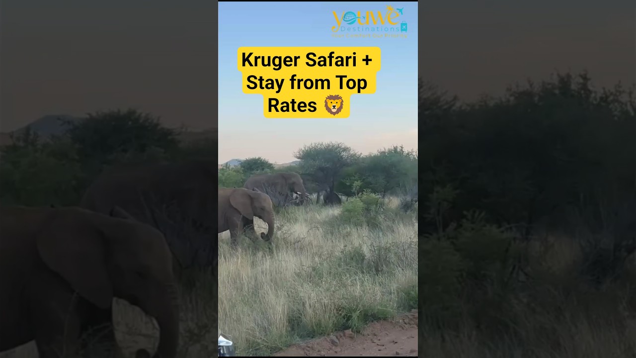 Kruger National Park Safari on a Budget 🦁 | Best Rates for Safari & Stay Packages #travel #facts
