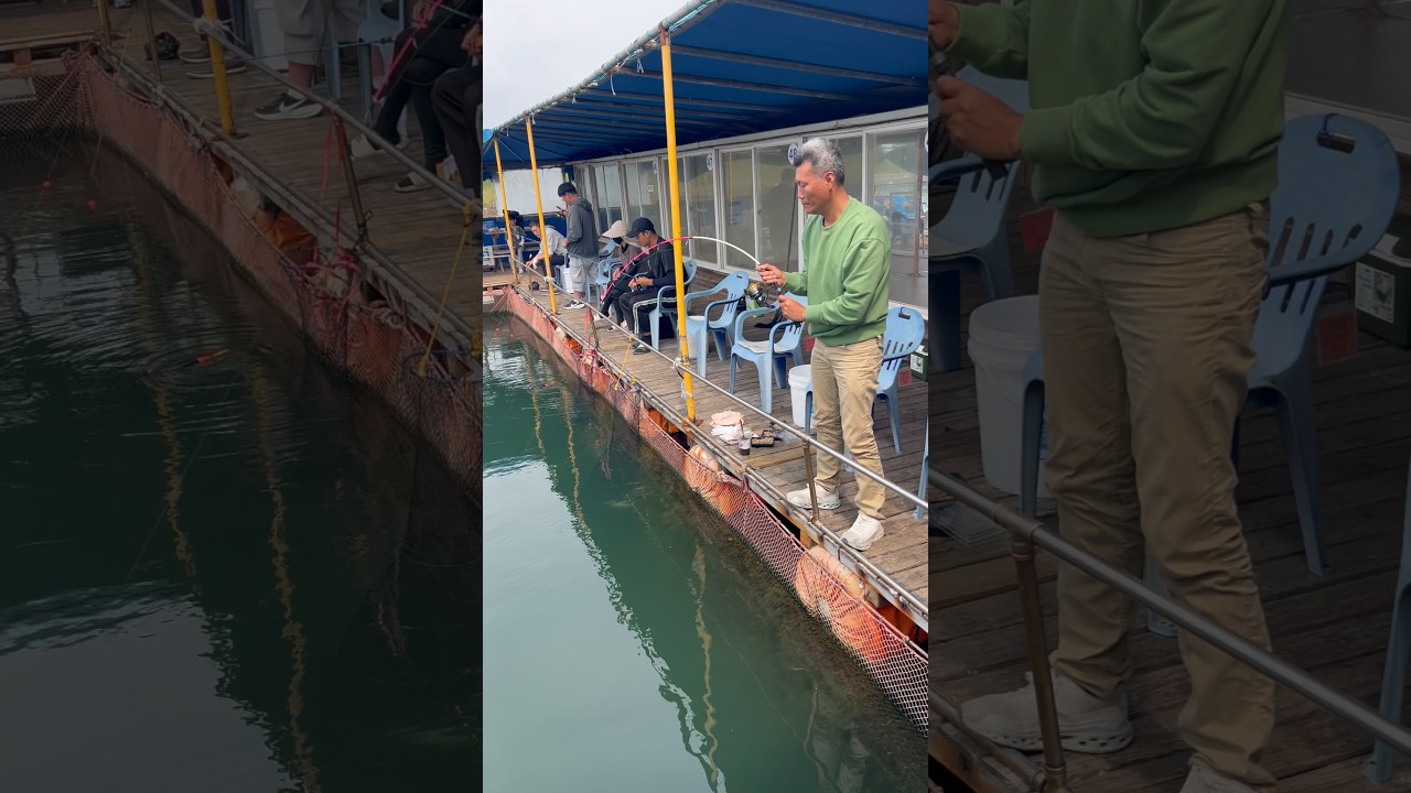 잠깐만 찌좀 걷어주세요!! 아..안걷어도 되겠어요… #낚시 #fishing