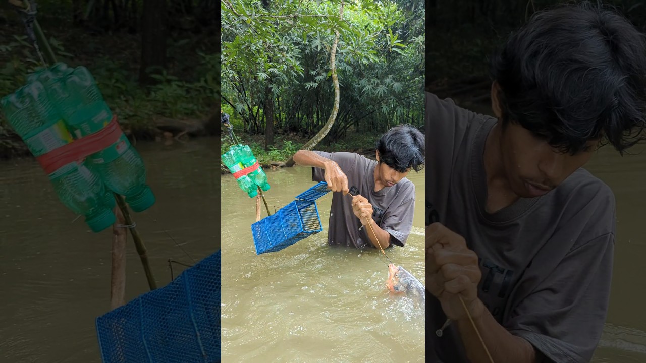 Unbelievable Fishing Technique, with new rat cage trap#fish_traps#shorts