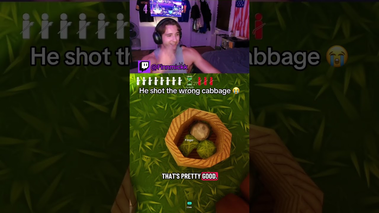 I’ve found my true form 🥬 #gaming #stream #mecchachameleon #friendslop #clip