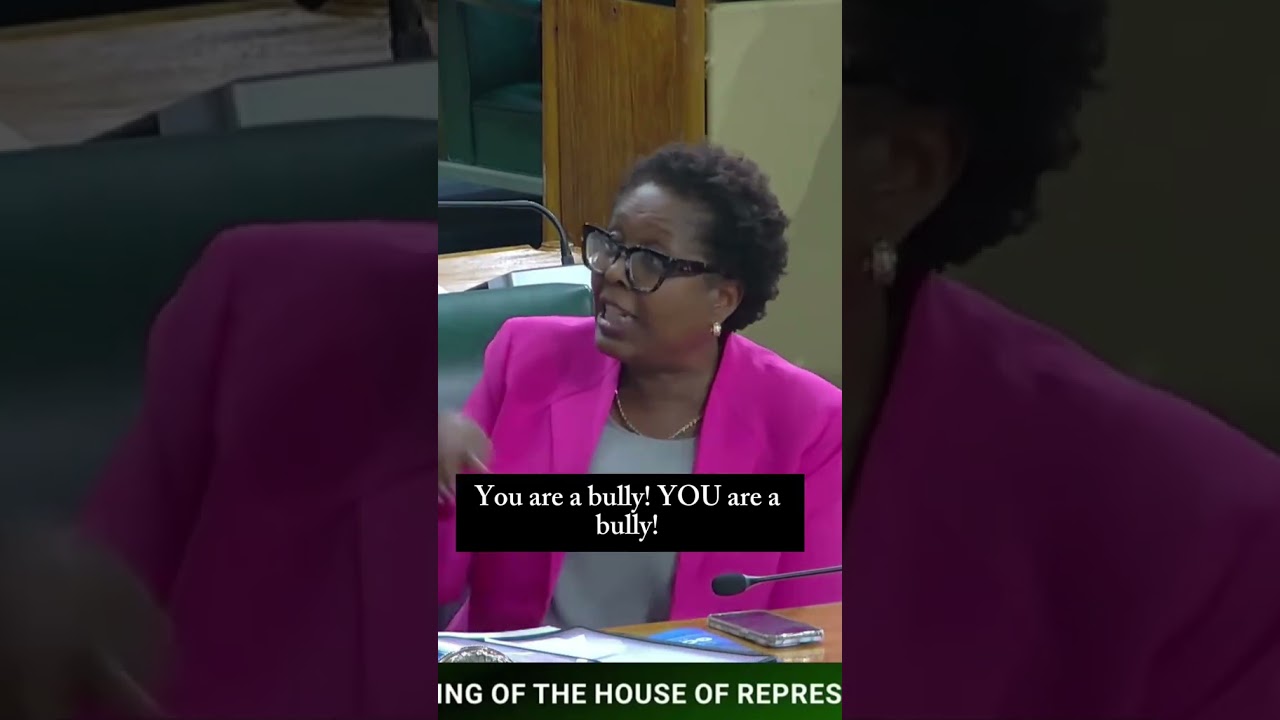 Andrew Holness  met his match  in parliament
