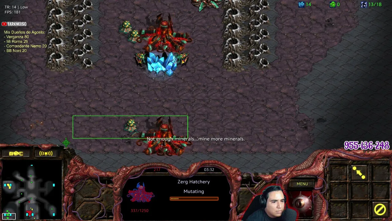 De regreso al StarCraft