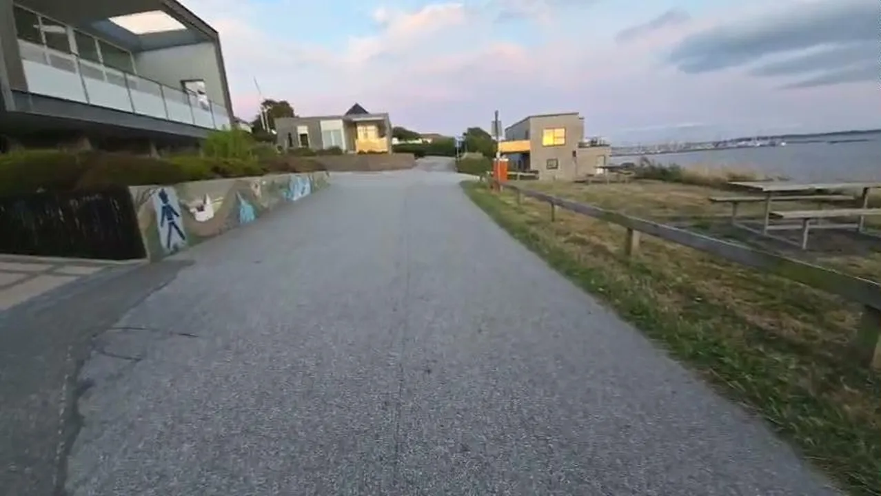 ARWAHAOO IRL F DENMARK